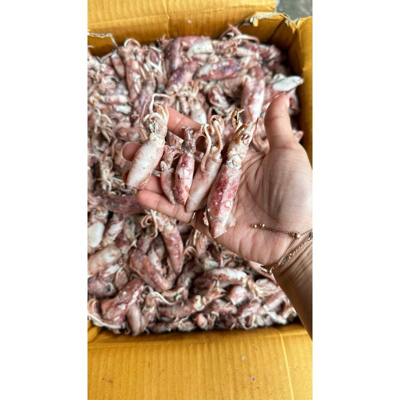 

Cumi asin rebus 1kg botak