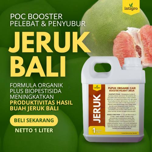 Pupuk Jeruk Bali / Pupuk Jeruk Bali Merah Manis / Pupuk Booster Jeruk Pupuk Organik Untuk Buah Jeruk