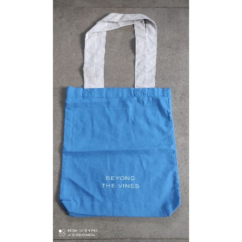 tote bag xs btv
