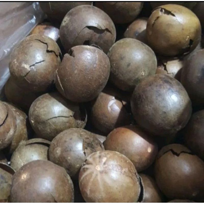 

buah lo han kuo premium/lo han guo import pecah