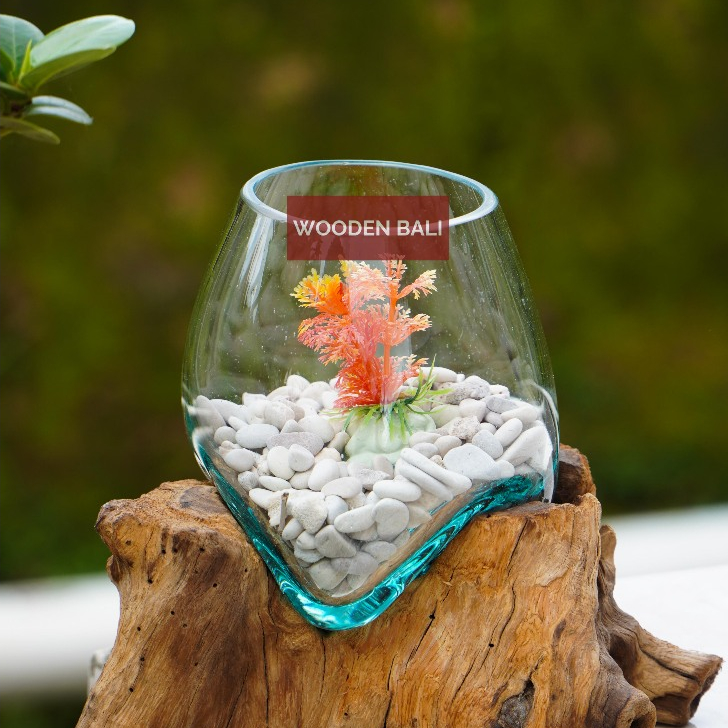 Aquarium ikan cupang/ Akuarium akar kayu