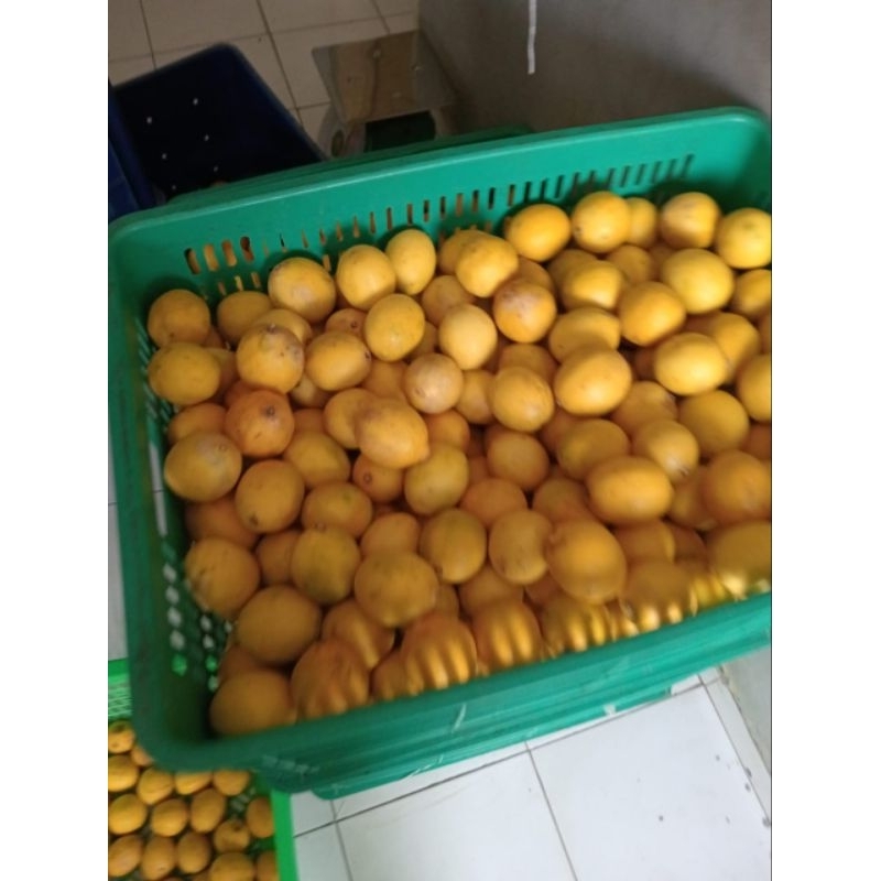 

lemon california 1 kg