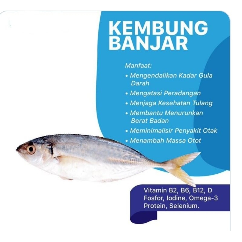 

IKAN KEMBUNG BANJAR BESAR SEGAR