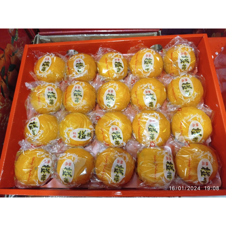 JERUK PONKAM KING 20'' - GIFT BOX IMLEK