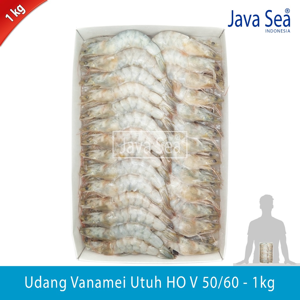 

Udang Vanamei Utuh Ada Kepala HO V 50/60 pack 1kg Java Sea