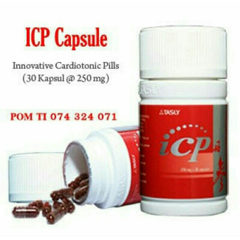 icp capsule /obat jantung herbal
