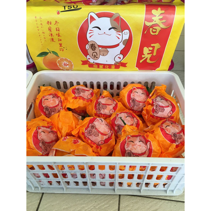 

jeruk papagan kucing berat 6 kg/ kranjang