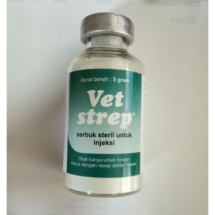 Vet strep obat infeksi bakteri snot CRD ngorok pada ayam dan hewn lainnya