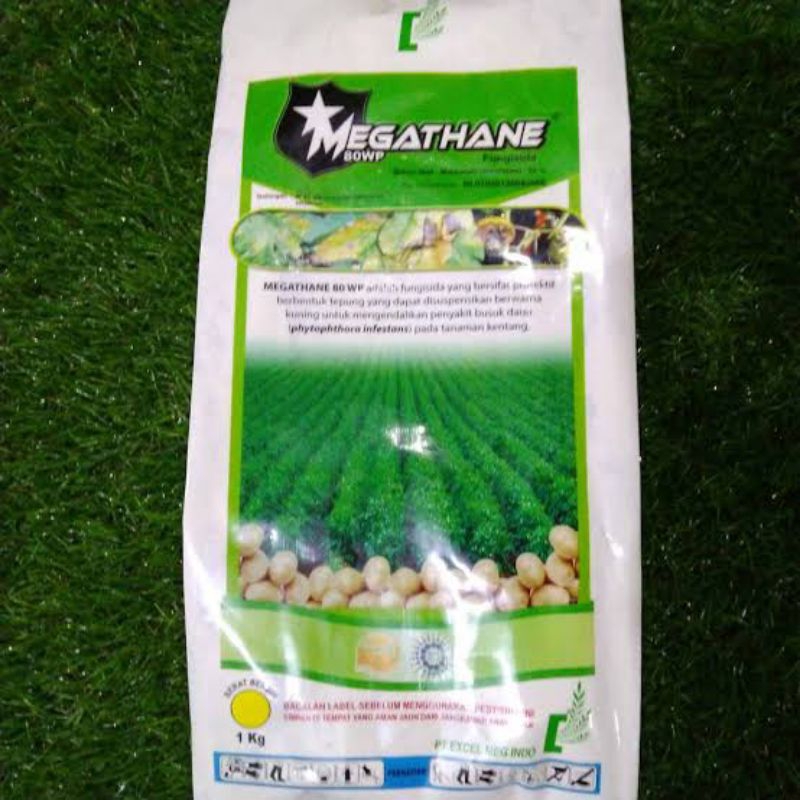fungisida megathane 80wp 1kg