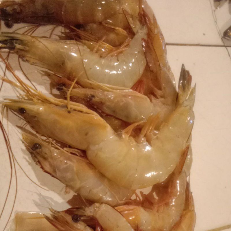 

udang laut