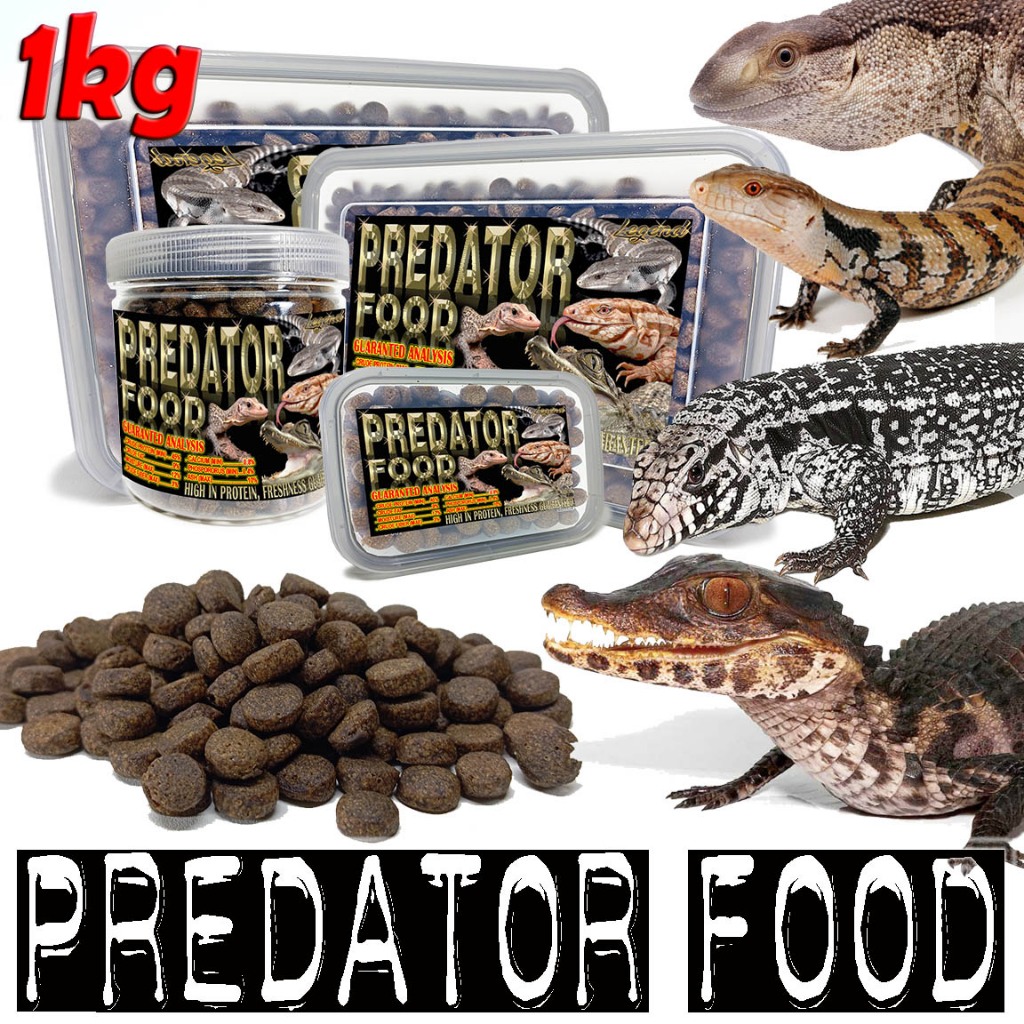 1KG PREDATOR FOOD PELET DIET PAKAN REPTILE MAKANAN TEGU PANANA CROCODILE BUAYA CAIMAN BLACK SALVA DO
