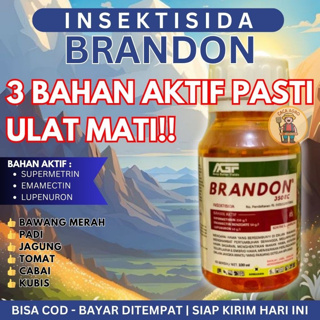 BRANDON INSEKTISIDA OBAT HAMA SERANGGA SUNDEP ULAT GRAYAK BAWANG MERAH PALING AMPUH Harapan Tani