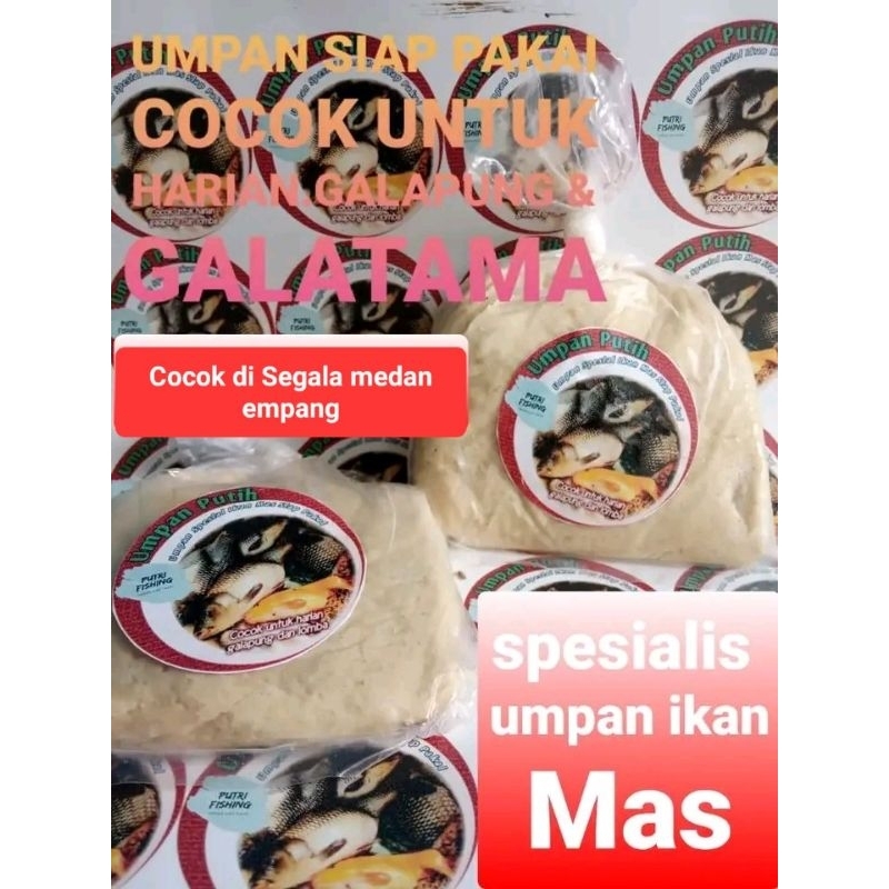 Umpan putih ikan Mas Gacor