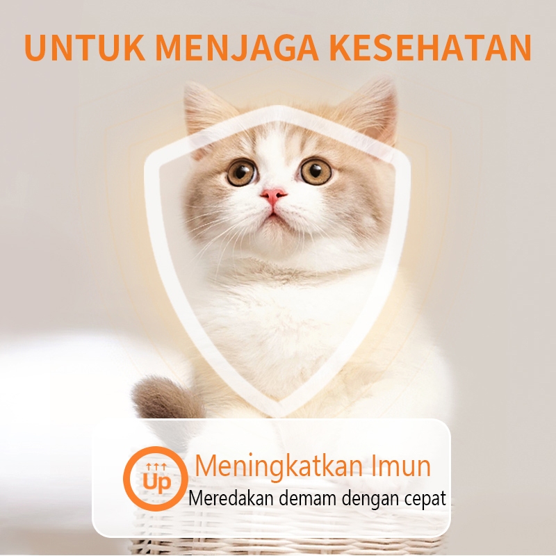Puainta Vitamin Bulu Kucing Anjing Rontok Multivitamin Untuk Anjing Dan Kucing Mengandung Vitamin A