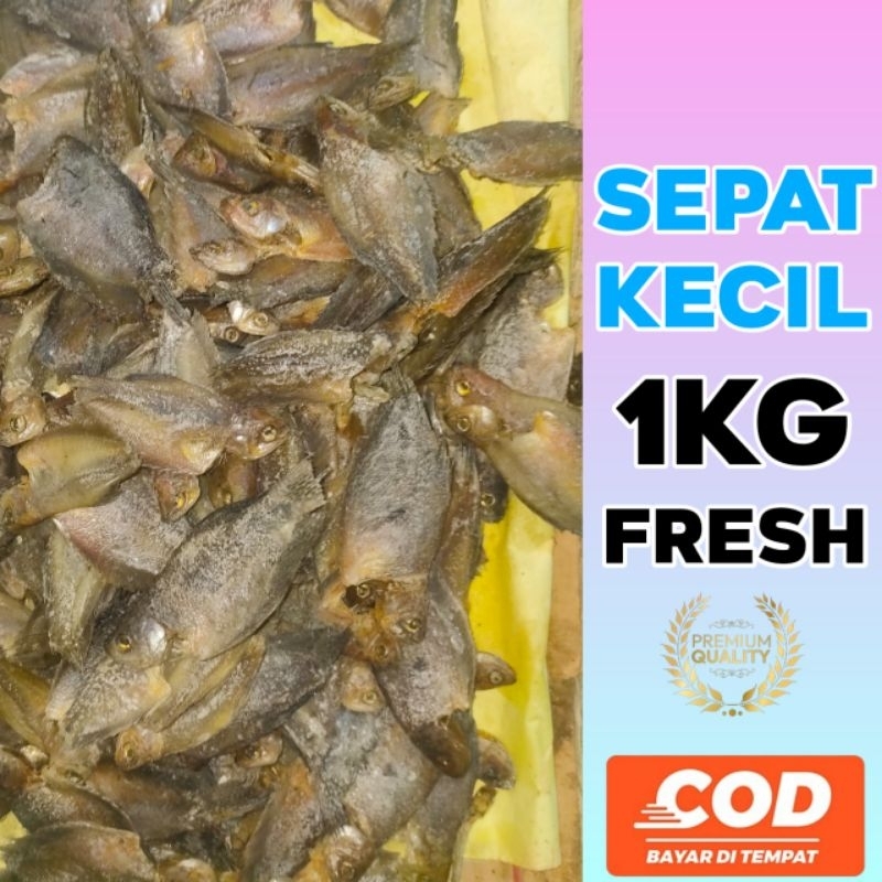 

IKAN ASIN SEPAT KECIL