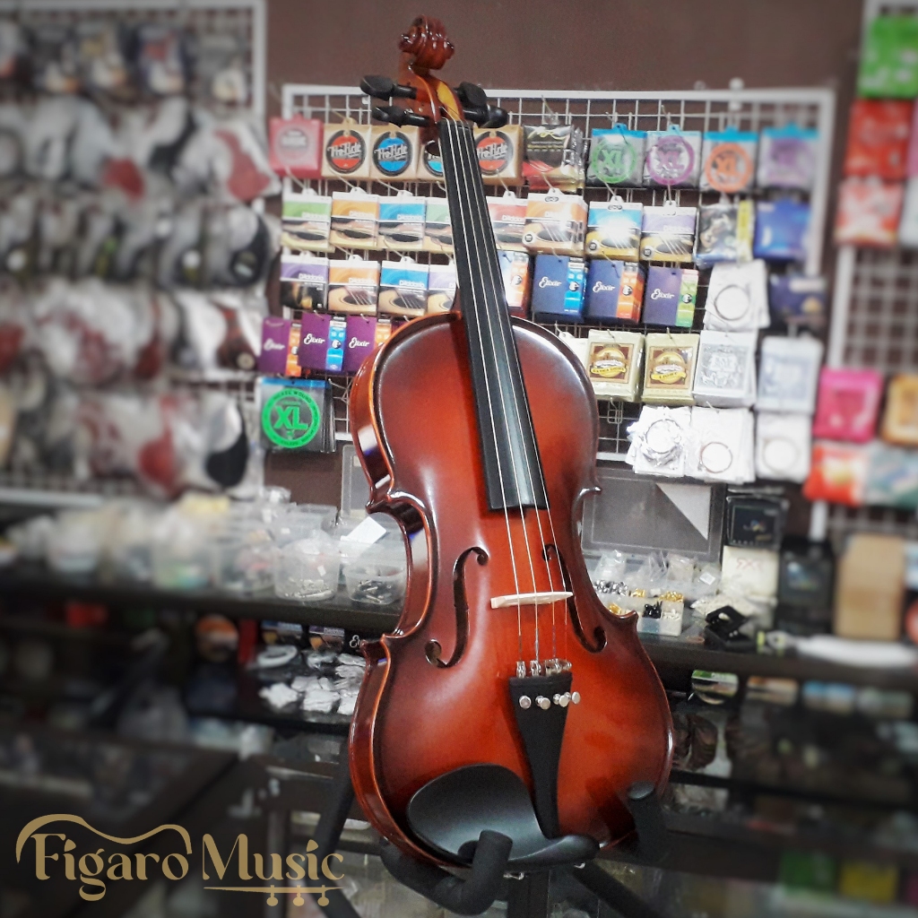 Biola Dvorak Violin, Made in Czecho - Serie AS 037