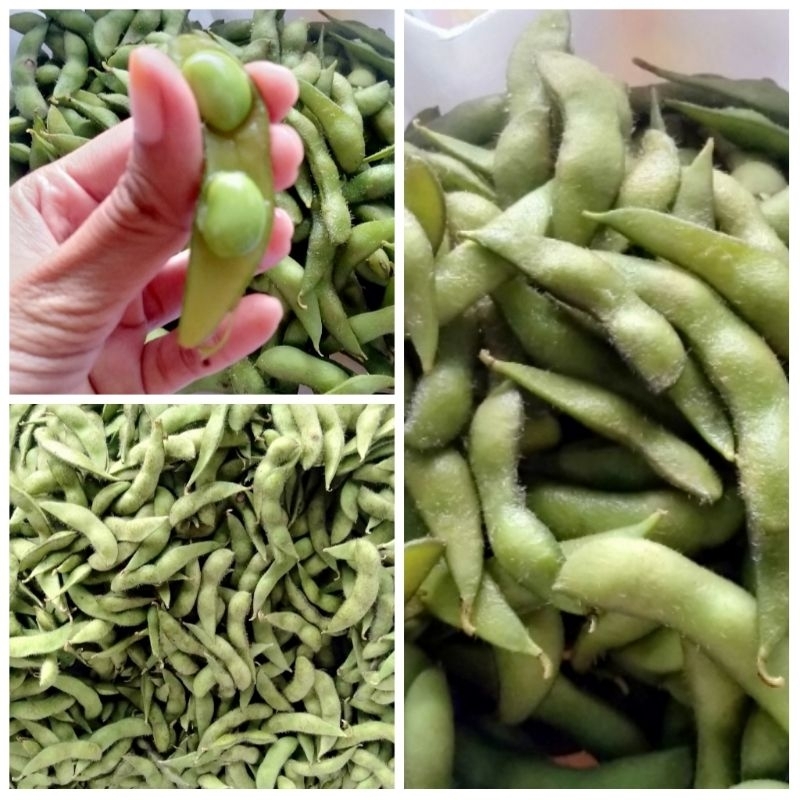 

edamame 1 kg