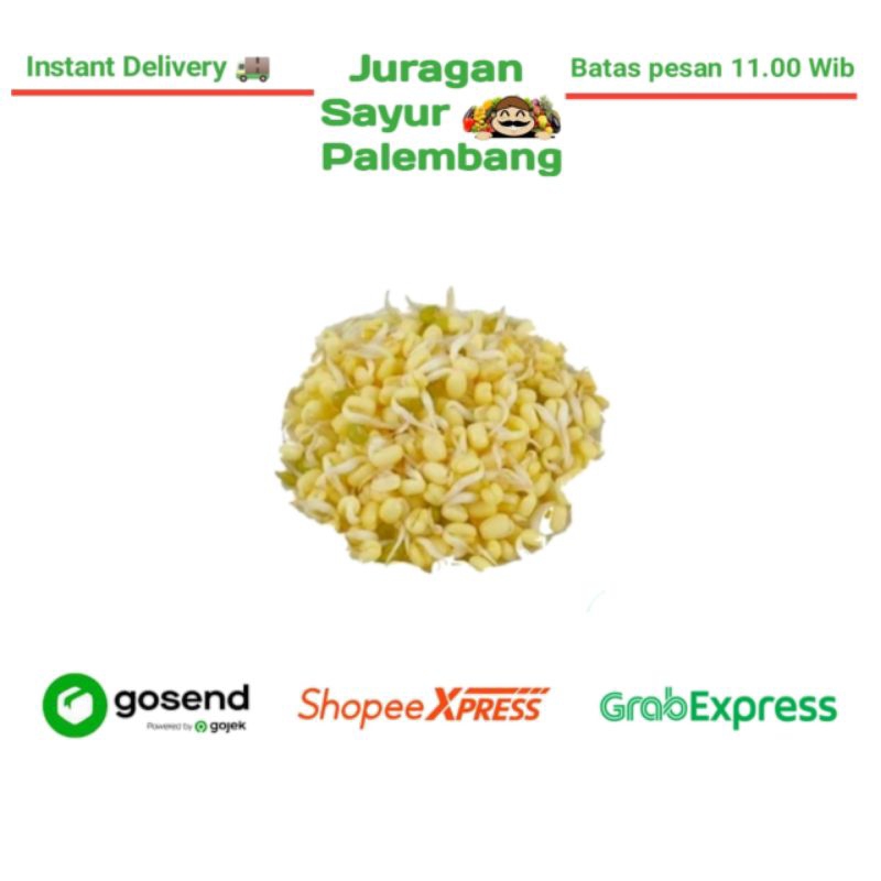 

Tauge Toge Soto - Juragan Sayur Palembang
