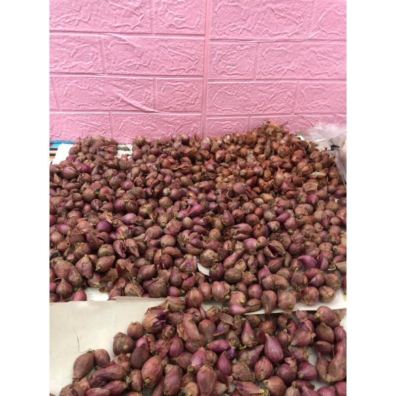 

bawang merah kering 1 kg