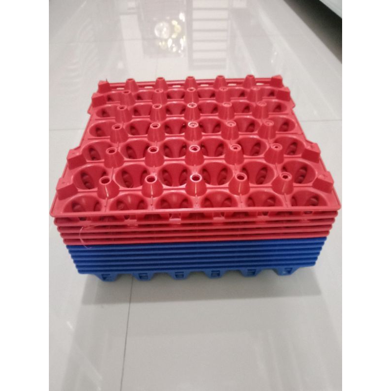 Tempat telur plastik tray 30 butir / Rak telur plastik