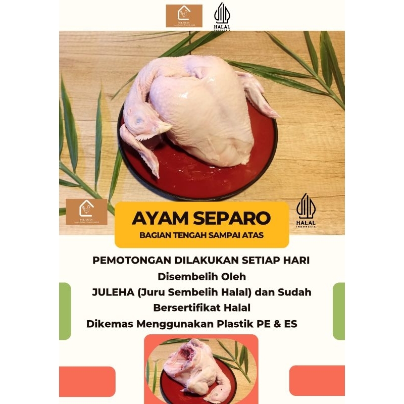 

Daging Ayam Setengah Ekor - Dada Atas Dengan Berat 700gram - 800 gram