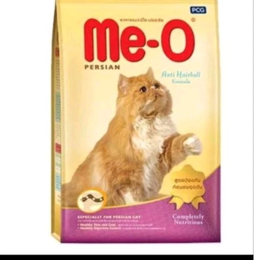 meo kitten persian