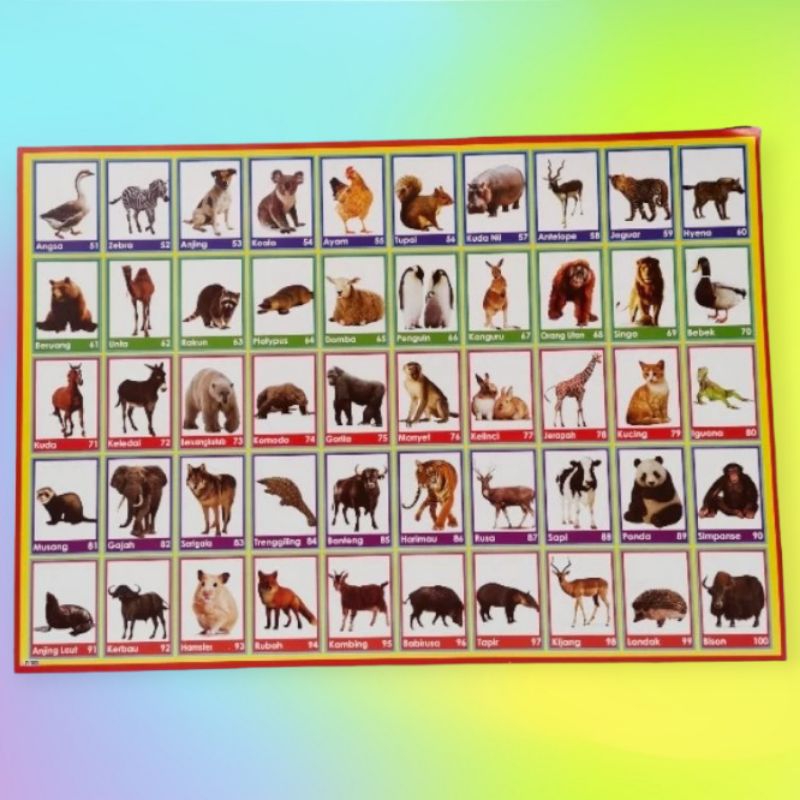 Poster Edukasi Gambaran Hewan 50 Spt 302