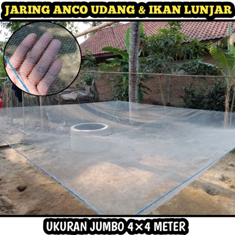 Jaring anco udang & lunjar lubang paling kecil 3/8 inchi ukuran jumbo 4×4 meter
