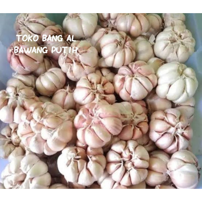 BAWANG PUTIH BERSIH/BAWANG PUTIH MURAH/BAWANG PUTIH KONAN/BAWANG PUTIH KATING/BAWANG PUTIH MURAH 1KG/BAWANG PUTIH 1KG PROMO/BAWANG PUTIH PROMO/BAWANG PUTIH CUTTING/BAWANG PUTIH KUALITAS BAGUS/BAWANG PUTIH IMPOR