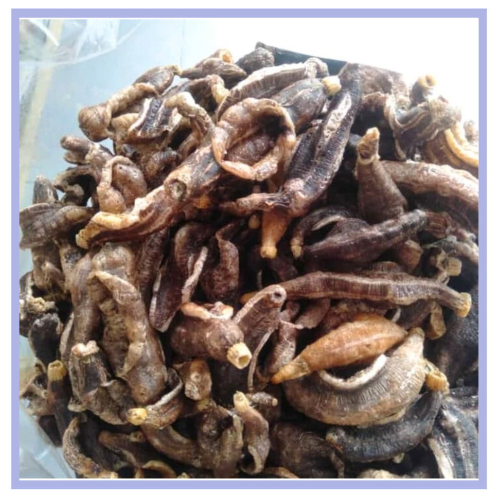 

❤️ Albani ❤️ Kerupuk Teripang 100 gr - Kerupuk Ikan Laut - Terung - Makanan Ringan - Snack Kiloan