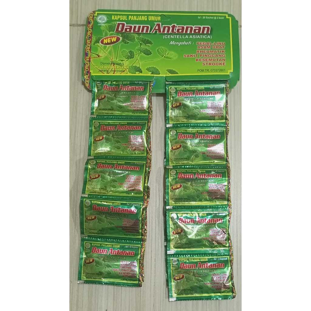 kapsul daun antanan