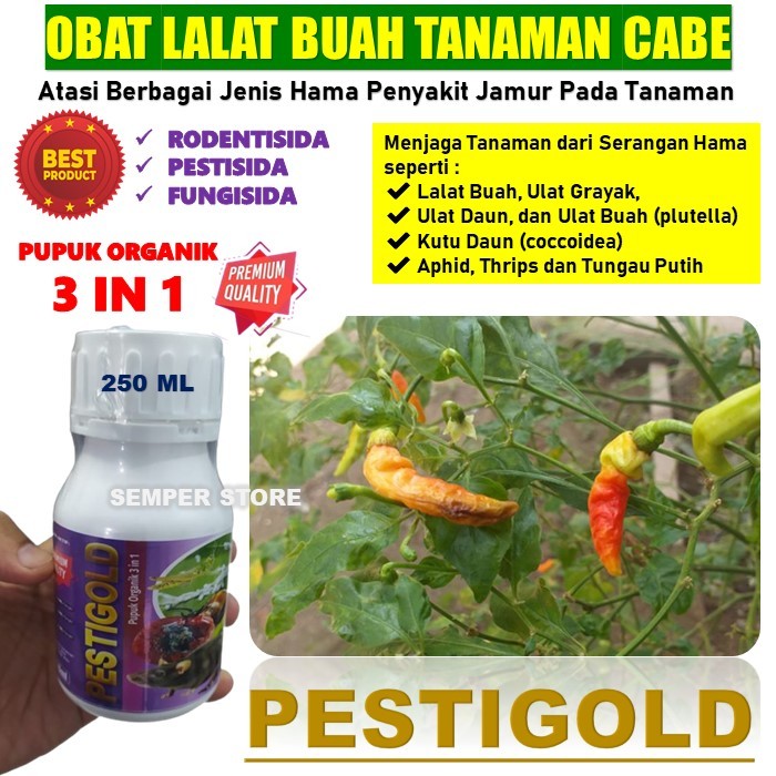 Obat Lalat Buah Cabe AMPUH PESTIGOLD 250ML Pestisida Alami Pembasmi Lalat Buah Pada Tanaman Cabe Cab