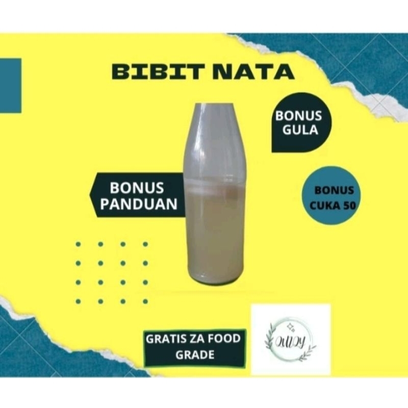 

strater nata bibit nata biang nata de coco nata de pina nata de soya