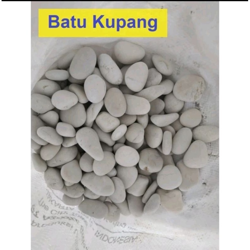 batu hias aquarium batu koral Kupang putih 500 gram