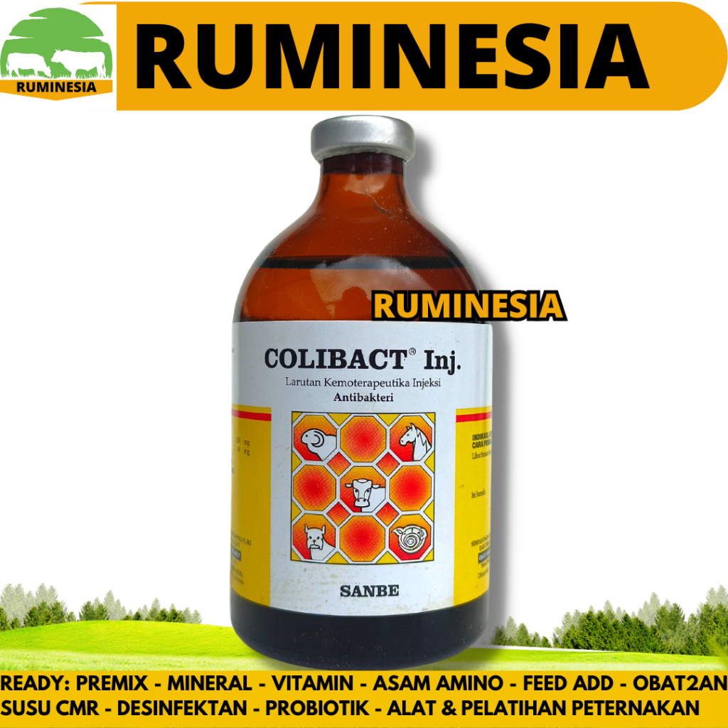 COLIBACT INJEKSI 100ML SANBE - Obat Mencret Sapi - Obat Diare Sapi Kambing Domba - Obat Antibiotik H