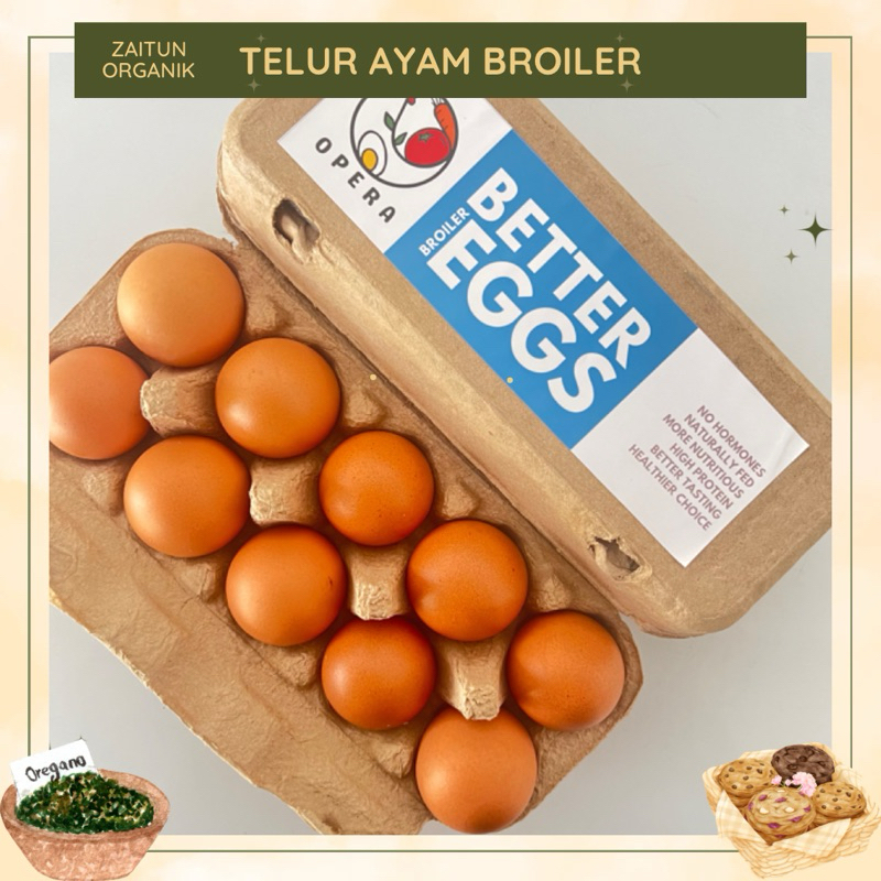 

Telur ayam Broiler Organik