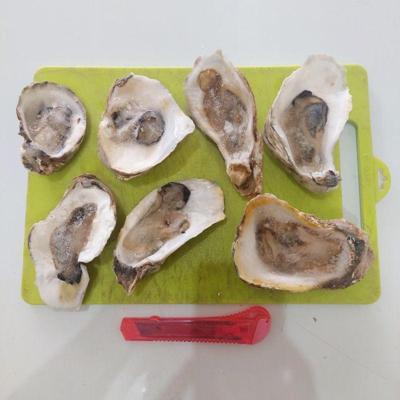 

Frozen Oyster / Tiram Half Shell 1 kg