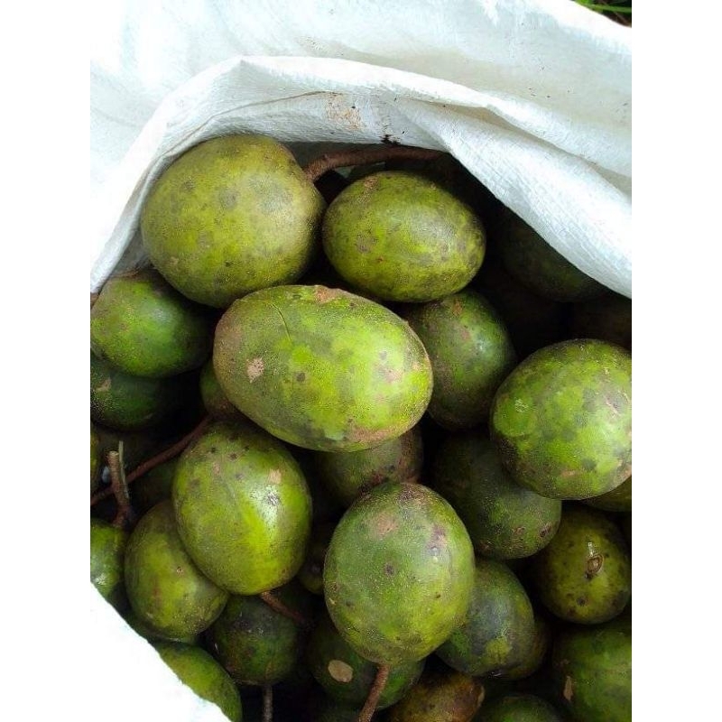 

Buah kedondong pres 1kg