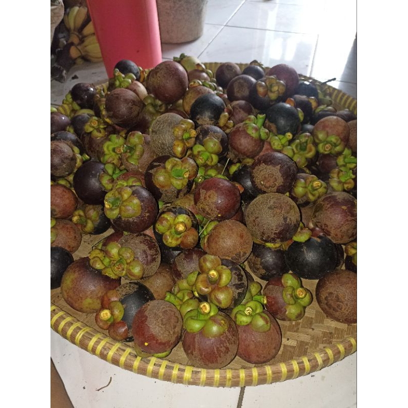 

manggis/manggu