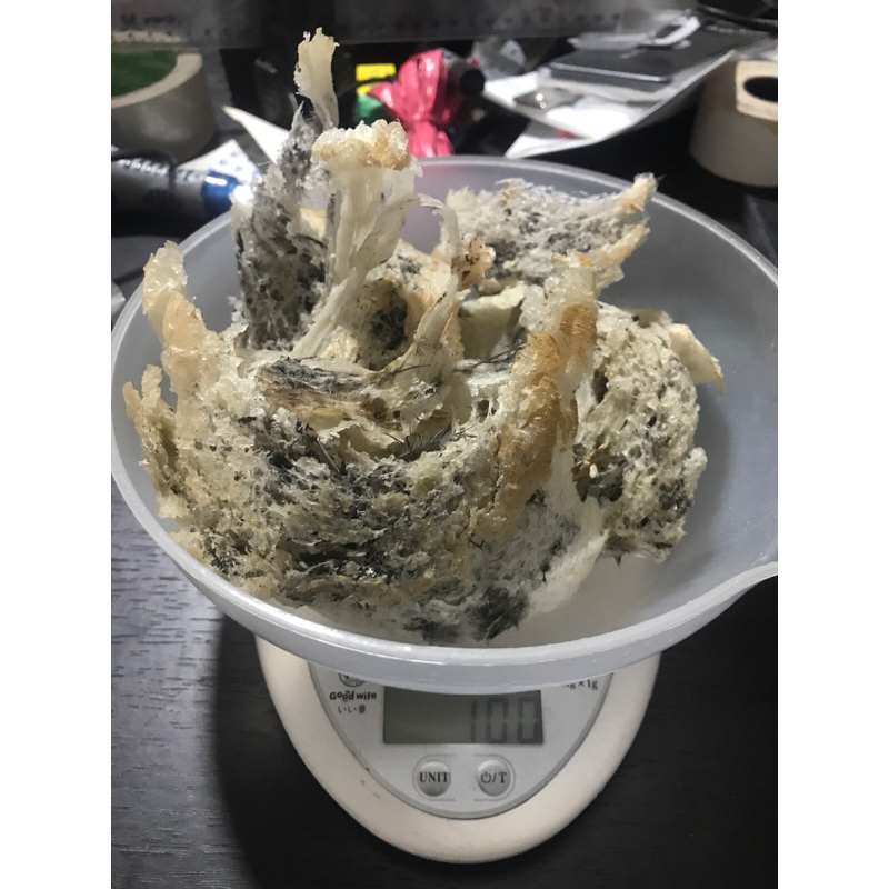 

sarang walet perkilo