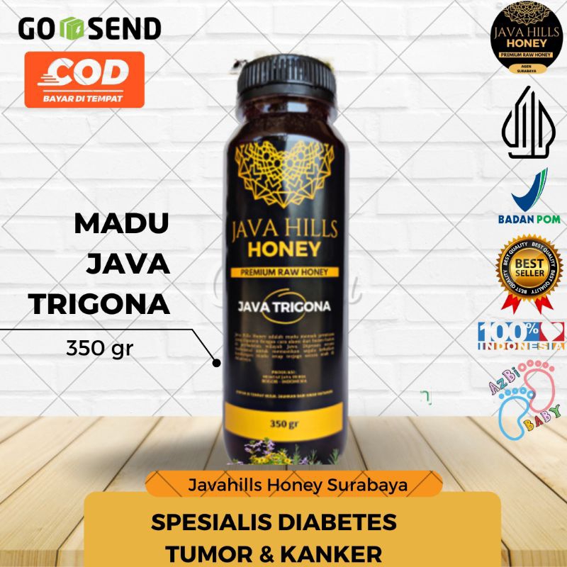

MADU JAVA TRIGONA / MADU KLANCENG SPESIALIS DIABETES TUMOR KANKER 330 GRAM