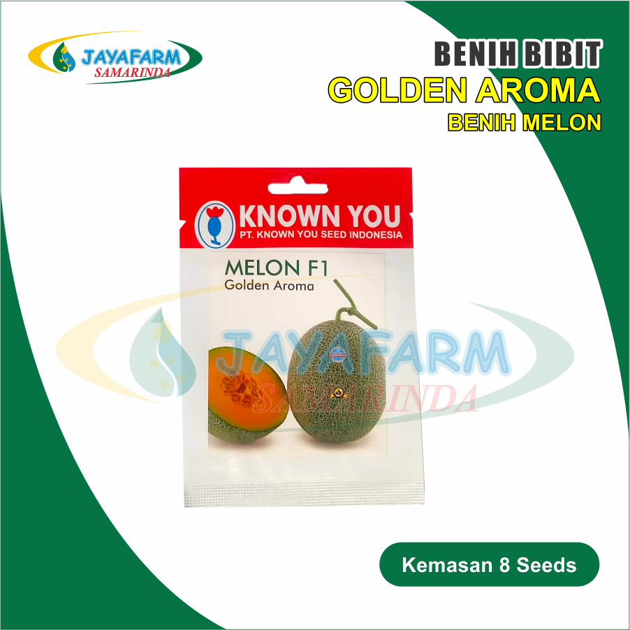 Benih Bibit Tanaman Buah Melon Golden Aroma 10 Seed ― Known You Seed