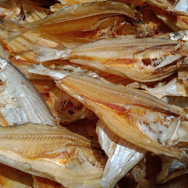 

Ikan Asin Kipas Khas Bengkulu