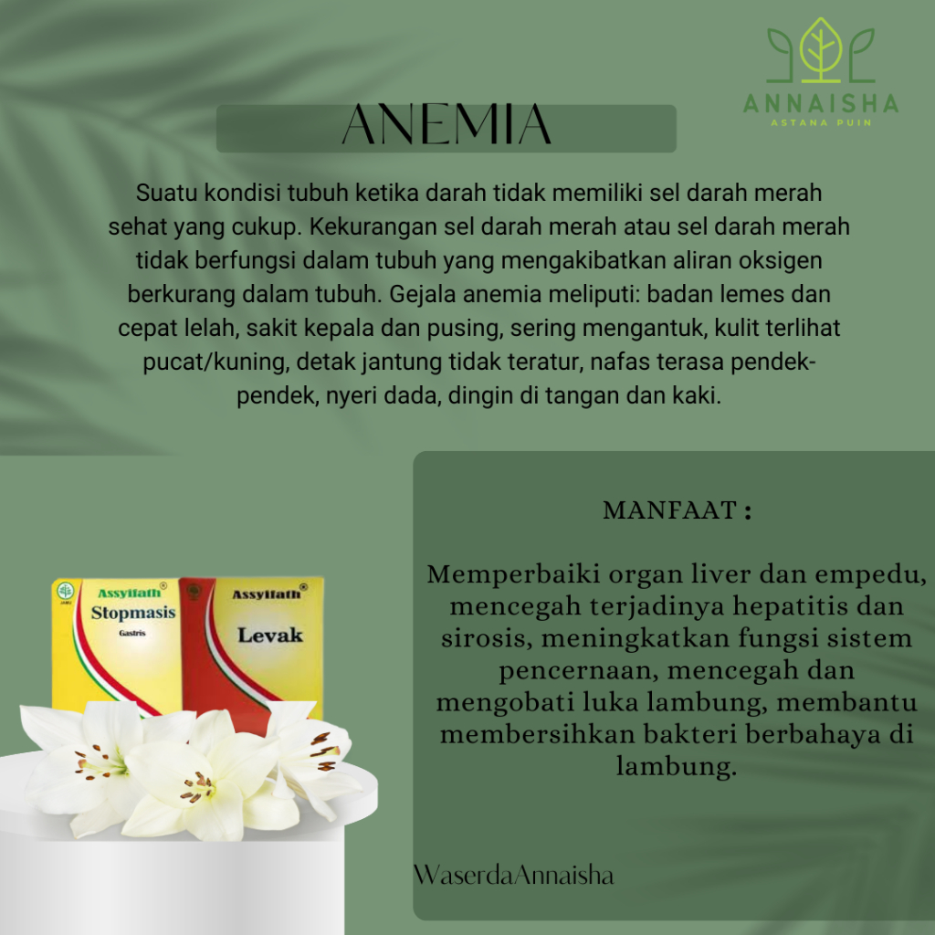OBAT HERBAL ANEMIA-ANEMIA ASSYIFATH