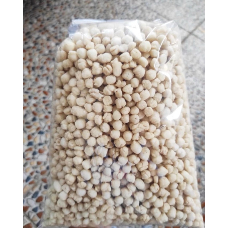 

Pilus Cikur 1kg Termurah