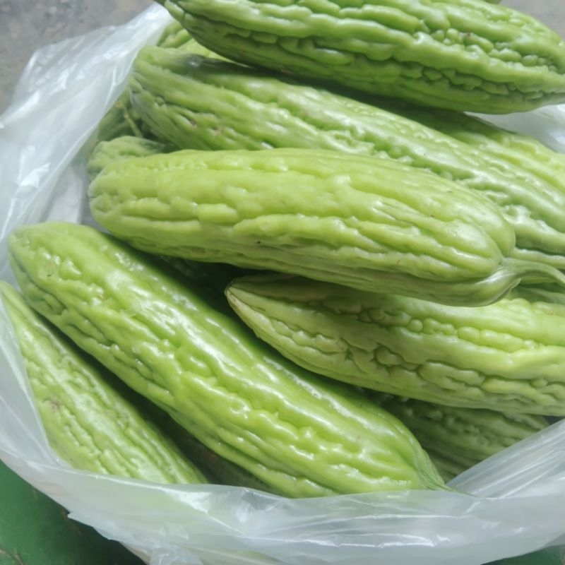 

(1kg)pare segar, langsung dari petani.