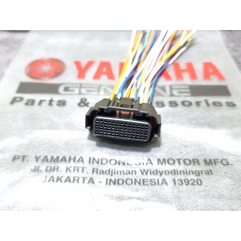 Socket ecu ecm cdi Yamaha Freego freego original pin 39