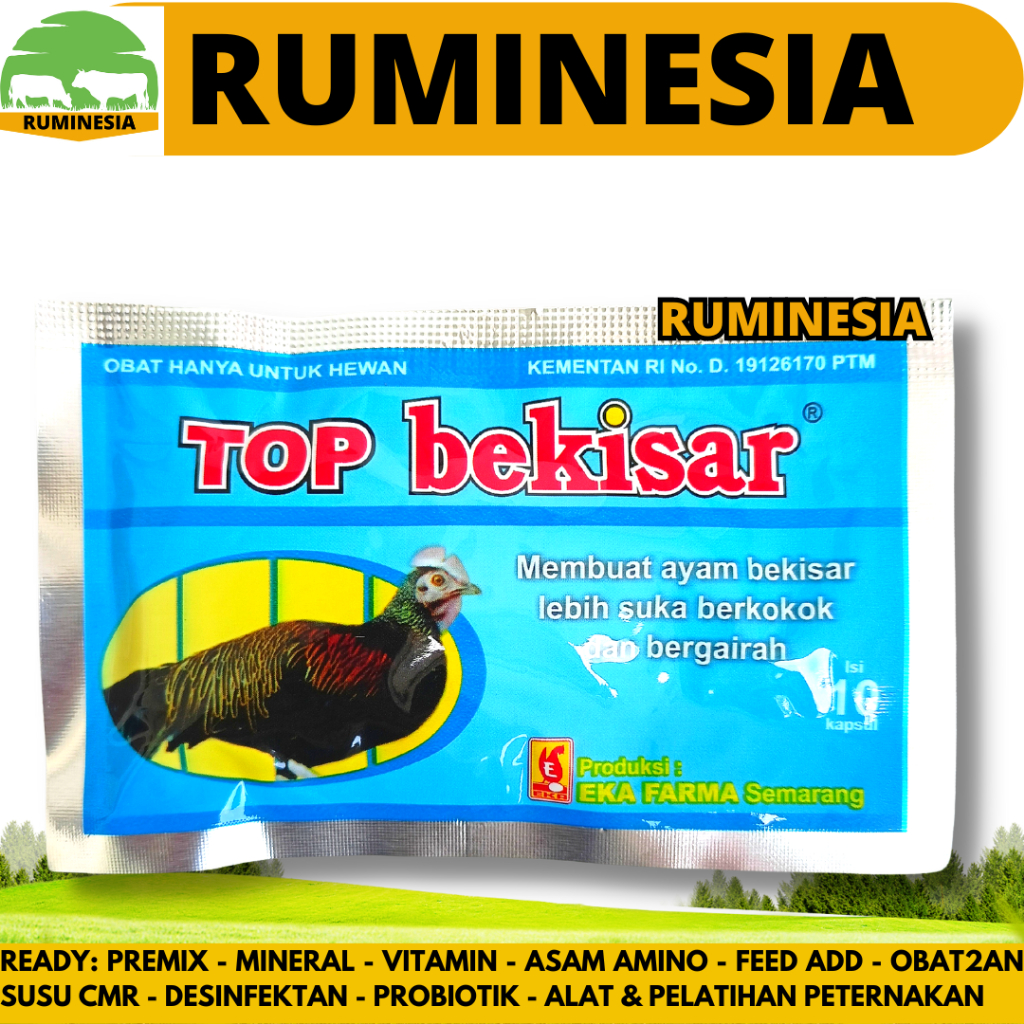 TOP BEKISAR 10 KAPSUL EKA FARMA - Vitamin Ayam Bekisar Ayam Pelung Ayam Ketawa Ayam Hutan