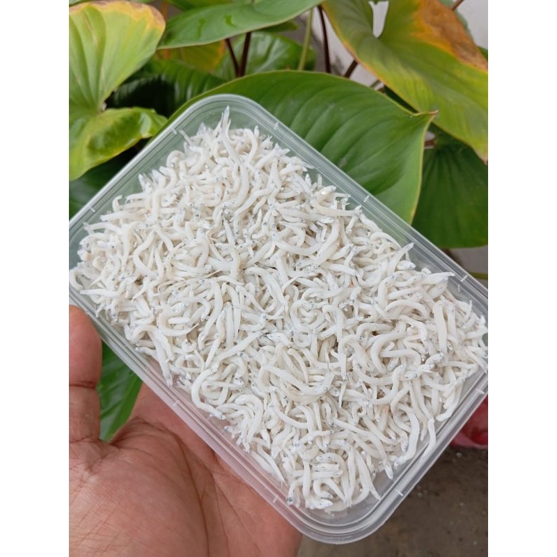 

TERI ASIN MEDAN SUPERRR TRI ASIN ORIGINAL UKURAN 1KG