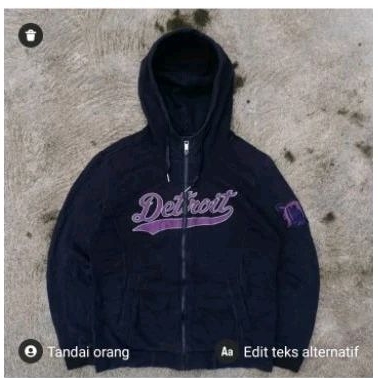 Second Brand Zip Hoodie MLB DETROIT